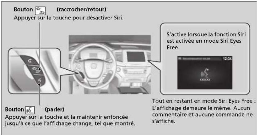 Bouton (raccrocher/retour) Appuyer sur la touche pour désactiver Siri. S'active lorsque la fonction Siri est activée en mode Siri Eyes Free Bouton (parler) Appuyer sur la touche et la maintenir enfoncée jusqu'à ce que l'affichage change, tel que montré. Tout en restant en mode Siri Eyes Free : L'affichage demeure le même. Aucun commentaire et aucune commande ne s'affiche.