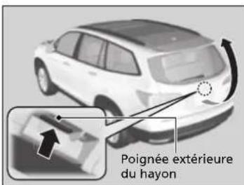 Poignée extérieure du hayon