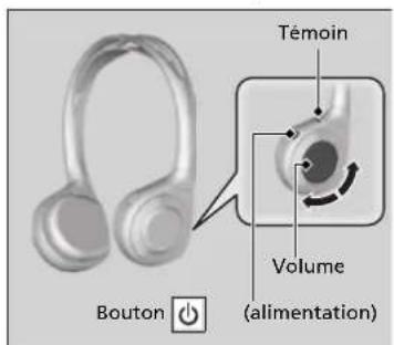 Témoin Volume (alimentation) Bouton
