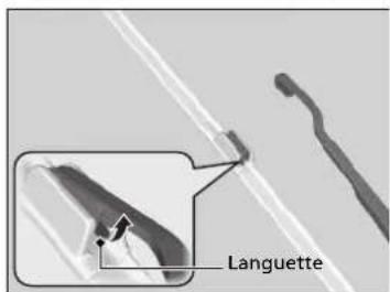 Languette