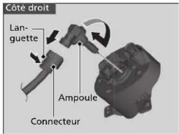 Côté droit Lan-guette Ampoule Connecteur