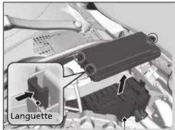 Languette