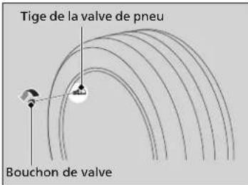 Tige de la valve de pneu Bouchon de valve