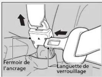 Fermoir de l'ancrage Languette de verrouillage