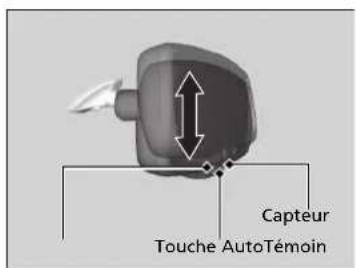Capteur Touche AutoTémoin