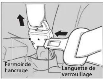 Fermoir de l'ancrage Languette de verrouillage