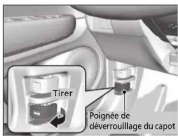 Tirer Poignée de déverrouillage du capot