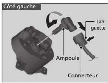 Côté gauche Languette Ampoule Connecteur