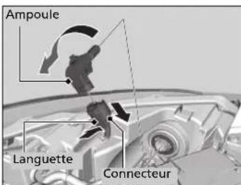 Ampoule Languette Connecteur