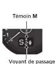 Témoin M S2 Voyant de passage