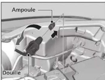 Ampoule Douille