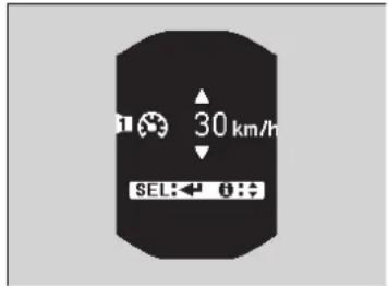 30 km/h SEL:← 0:÷