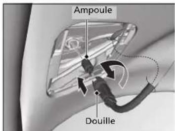 Ampoule Douille