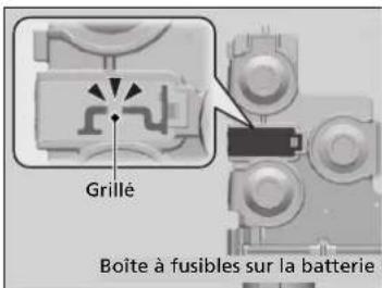Grillé Boîte à fusibles sur la batterie