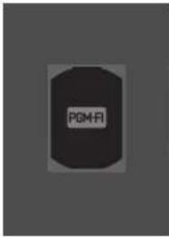 PGM-FI