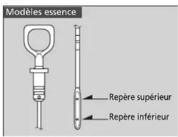 Modèles essence Repère supérieur Repère inférieur