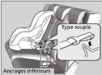 Ancrages inférieurs Type souple