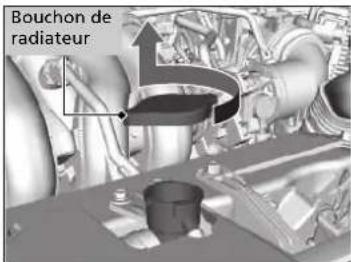 Bouchon de radiateur
