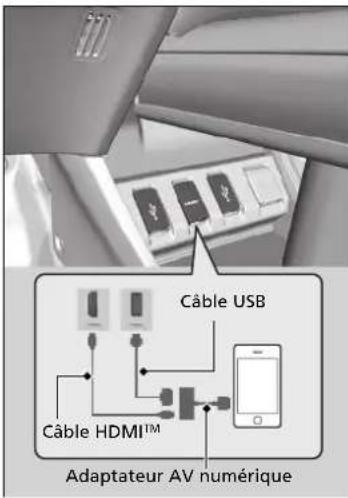Câble USB Câble HDMI™ Adaptateur AV numérique