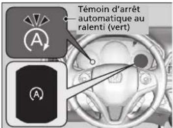 Témoin d'arrêt automatique au ralenti (vert)