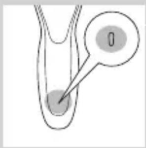 Diagram showing a biological or anatomical structure with a labeled point '0' and a directional arrow pointing to a region.