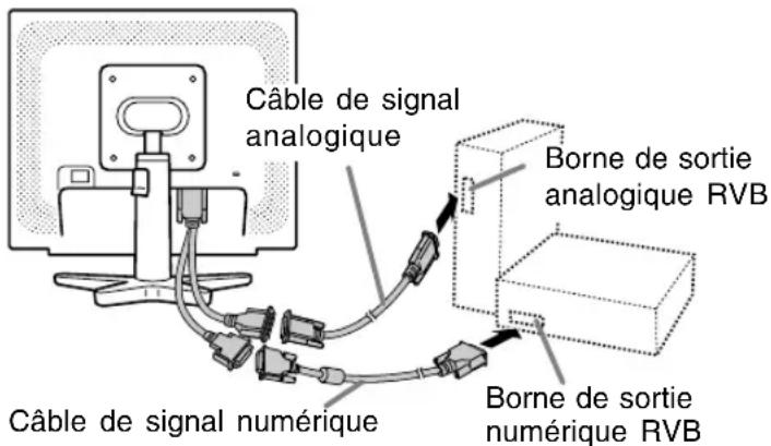 Câble de signal analogique Borne de sortie analogique RVB Câble de signal numérique Borne de sortie numérique RVB
