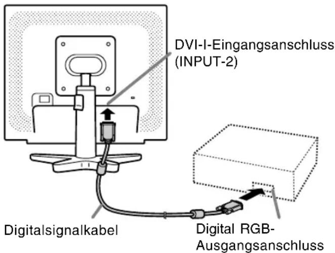 DVI-I-Eingangsanschluss (INPUT-2) Digitalsignalkabel Digital RGB-Ausgangsanschluss