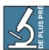 MACKIE ProFX8 - Comment utiliser ce mode d'emploi - 2