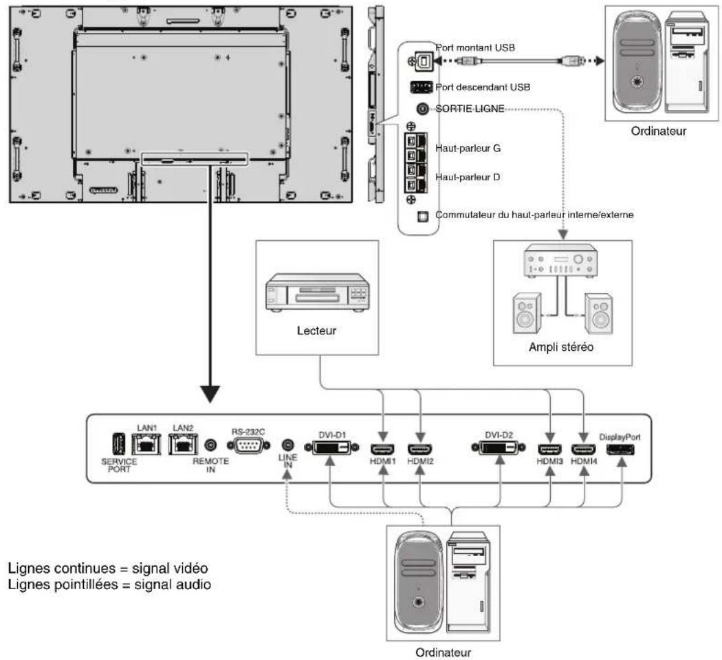 NEC MultiSync X651UHD - Avant d'effectuer les branchements : - 1