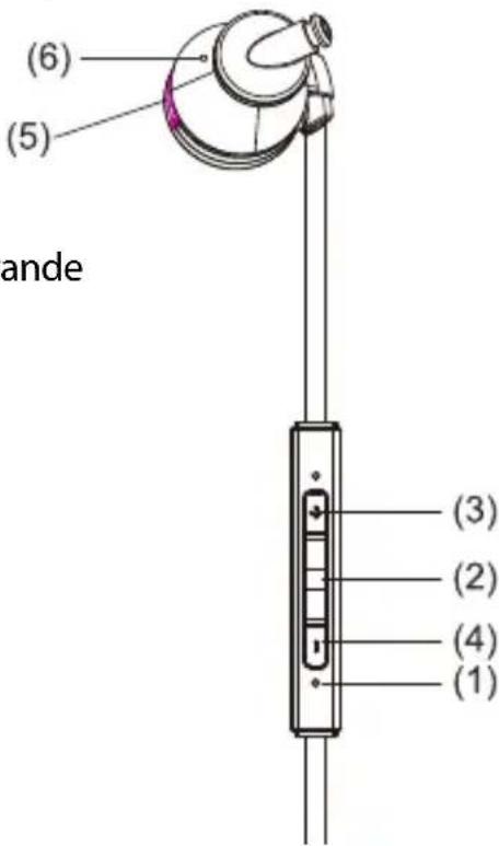 (6) (5) ande (3) (2) (4) (1)