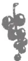 UFESA PA7000 - Feketeribizlilé - 1