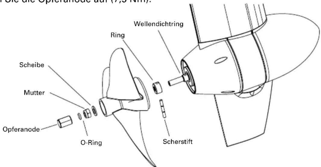 Sie die Opferanode auf (1/25 Nm); Scheibe Mutter Opferanode O-Ring Ring Wellendichtring Scherstift