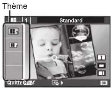 Thème 1 Standard Quitte Colf OK