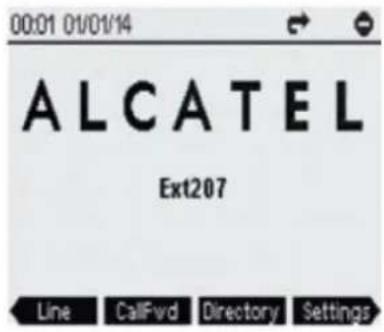 00:01 01/01/14 ALCATEL Ext207 Line CallFwd Directory Settings