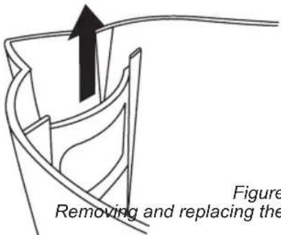Figure Removing and replacing the