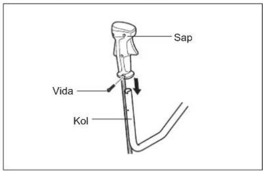 Sap Vida Kol