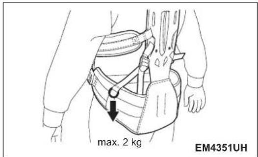 max. 2 kg EM4351UH