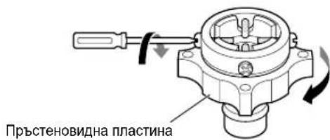 Пръстеновидна пластина