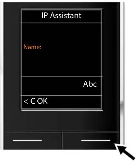 IP Assistant Name: Abc < C OK