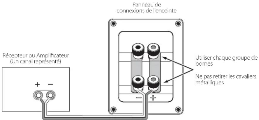 Récepteur ou Amplificateur (Un canal représenté) + - Panneau de connexions de l'enceinte Utiliser chaque groupe de bornes Ne pas retirer les cavaliers métalliques
