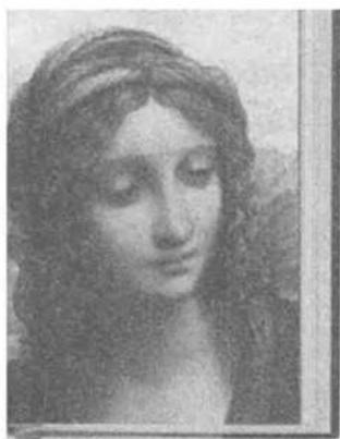 Portrait of a woman with long hair, looking downward (no visible text or symbols)