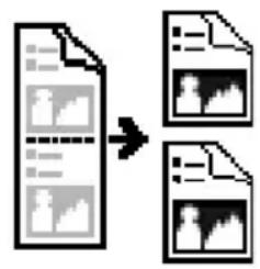 graph TD A["Document"] --> B["Output Format 1"] A --> C["Output Format 2"]