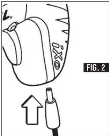 FIG. 2