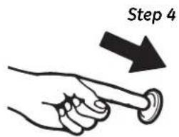 Step 4