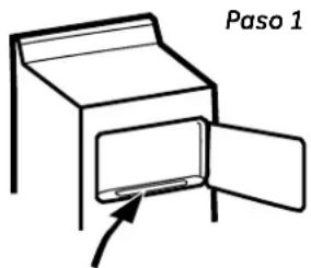 Paso 1