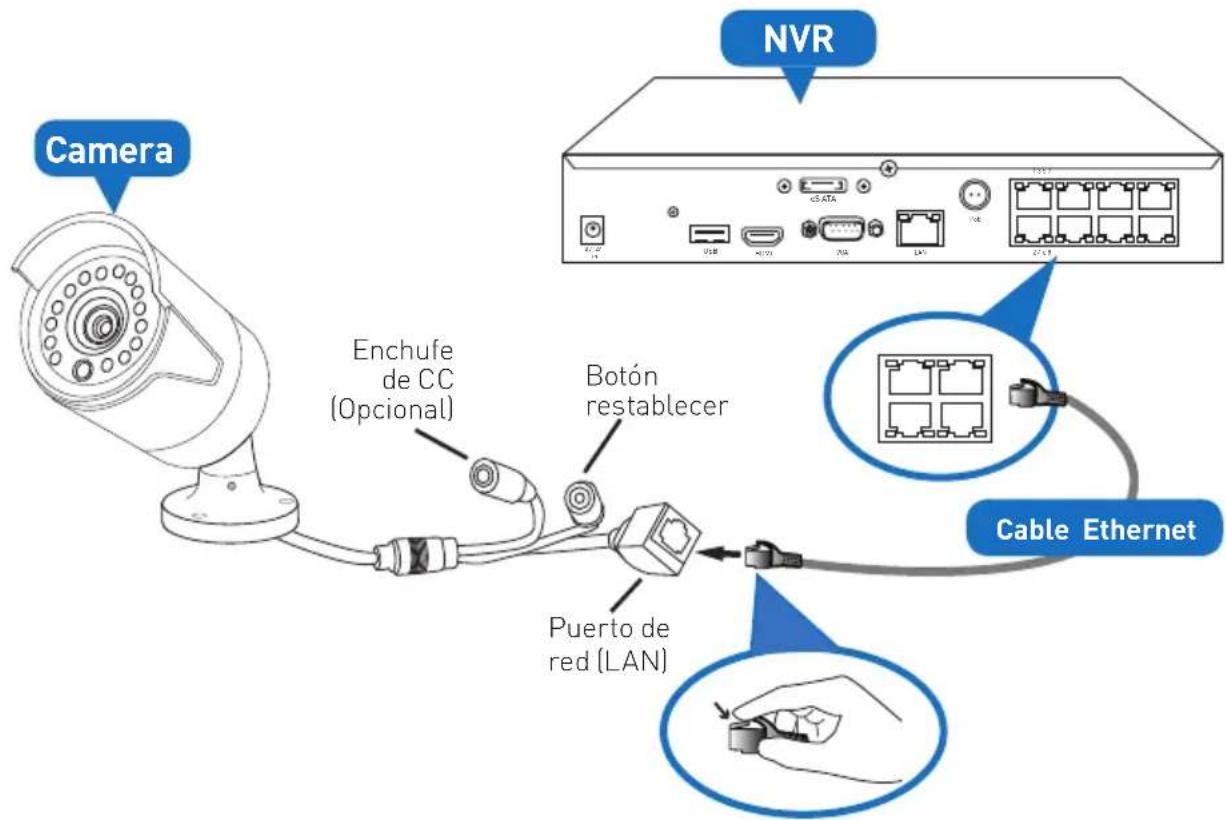 Camera Enchufe de CC (Opcional) Botón restablecer Puerto de red (LAN) NVR Cable Ethernet