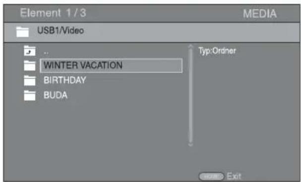 Element 1 / 3 USB1/Video WINTER VACATION BIRTHDAY BUDA Typ:Ordner SCAN Exit