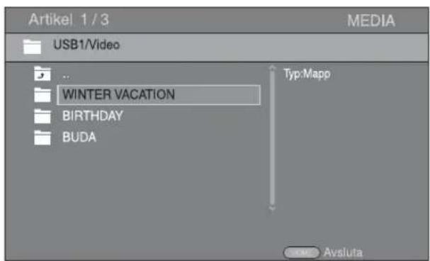 Artikel 1 / 3 MEDIA USB1/Video WINTER VACATION BIRTHDAY BUDA Typ:Mapp Avsluta