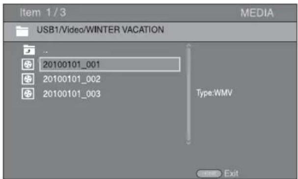 Item 1/3 MEDIA USB1/Video/WINTER VACATION 20100101_001 20100101_002 20100101_003 Type:WMV Exit