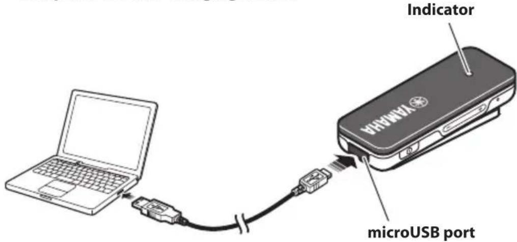 Indicator VANOMA microUSB port